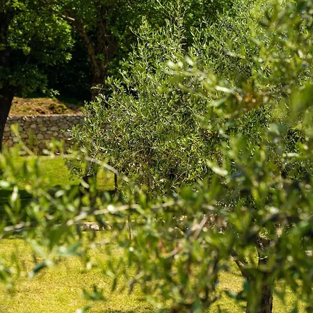 Octingenti In Marceljani - Haus Fuer 4-6 Personen * Veligolji